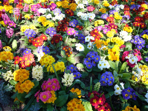 435397 (a): :2400x1800